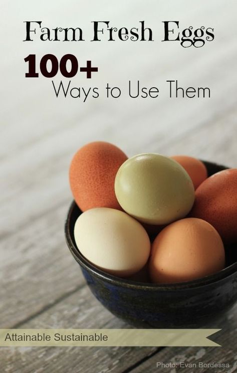 Are your egg-laying chickens leaving you with an overflowing nest box? Here are more than 100 recipes to use up your farm fresh eggs. From breakfast to desserts and beyond! #localbite #EggRecipes Survival Cooking, Attainable Sustainable, Easy Egg Recipes, Eggs Recipes, Egg Laying Chickens, Egg Diet Plan, Chicken Keeping, Nest Box, Egg Recipe