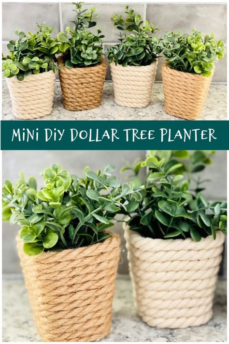 Small Planters Diy, Diy Small Pots For Plants, Dollar Store Planter Ideas, Small Pots For Plants, Planter Hacks, Succulent Pots Diy, Funky Crafts, Diy Succulent Planter, Diy Cedar Planter Box