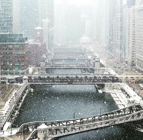 Snowy Chicago Winter Picture Ideas, Chicago In Winter, Chicago Snow, Christmas In New York Aesthetic, Fog Photography, Chicago Christmas, Winter Picture, Chicago Aesthetic, Chicago Winter