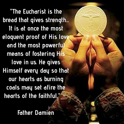 Eucharistic Congress, Catholic Devotions, Family Altar, Holy Eucharist, Holy Holy, Catholic Beliefs, Eucharistic Adoration, Blessed Sacrament, Catholic Pictures