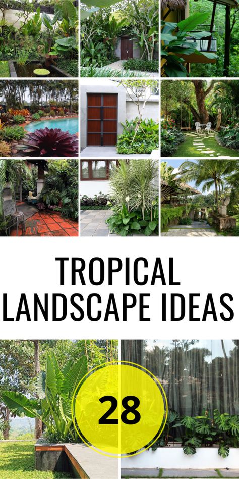 28 Tropical Landscape Ideas for Stunning Front Yards, Backyards, and Small Spaces - placeideal.com Myrtle Beach Landscaping Ideas, Low Maintenance Tropical Garden, Florida Landscaping Around Pool Cage, Tropical Oasis Backyard, Florida Backyard Landscaping, Florida Landscaping Ideas Front Yards, Florida Backyard Ideas, Tropical Landscape Ideas, Low Maintenance Backyard Landscaping