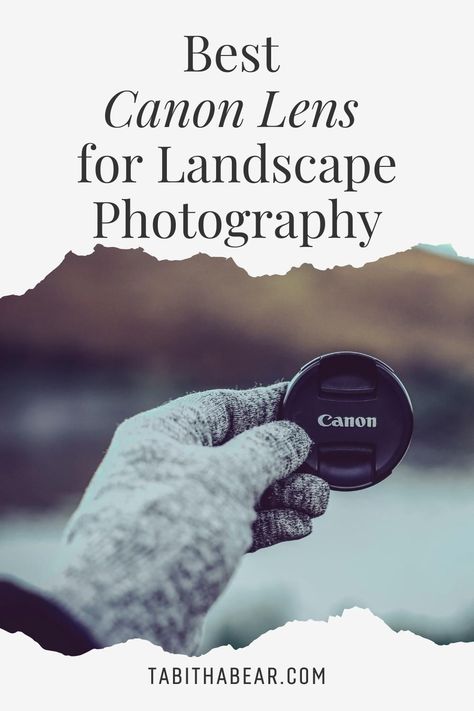 Canon Camera Settings, Canon R7, Best Canon Lenses, Best Canon Camera, Lens Guide, Hiking Photography, Photography Lenses, Woods Photography, Landscape Photography Tips