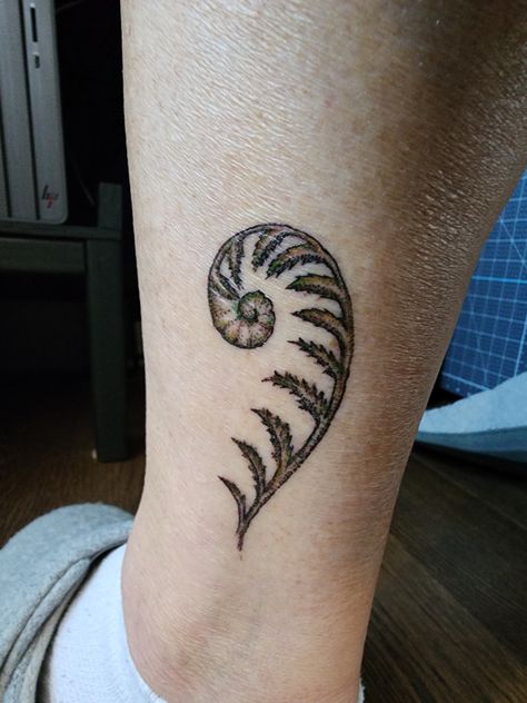 Fiddle Fern Tattoo, Fern Band Tattoo, Fiddlehead Tattoo, Fern Fiddlehead Tattoo, Fern Heart Tattoo, Curled Fern Tattoo, Tattoo Fern, Fern Spiral Tattoo, Curly Fern Tattoo