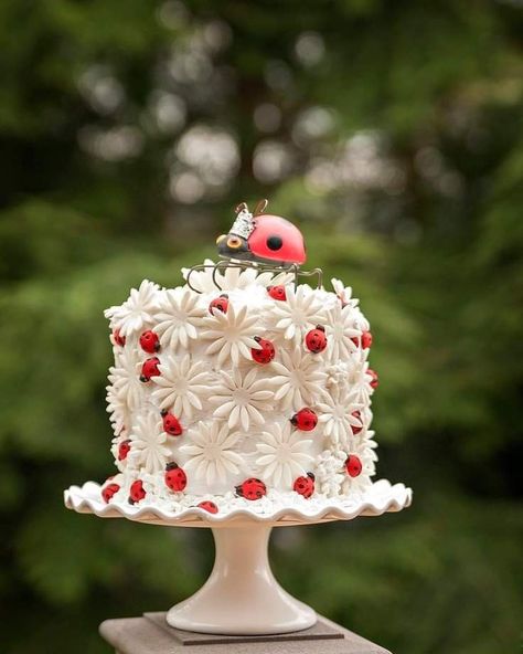 Lady Bird Birthday Cake, Ladybug And Daisy Birthday, Ladybug Themed Cake, Ladybug 1st Birthday Cake, Pink Ladybug Cake, Birthday Cake Ladybug, Ladybug First Birthday Cake, Ladybird Birthday Theme, Lady Bird Cake