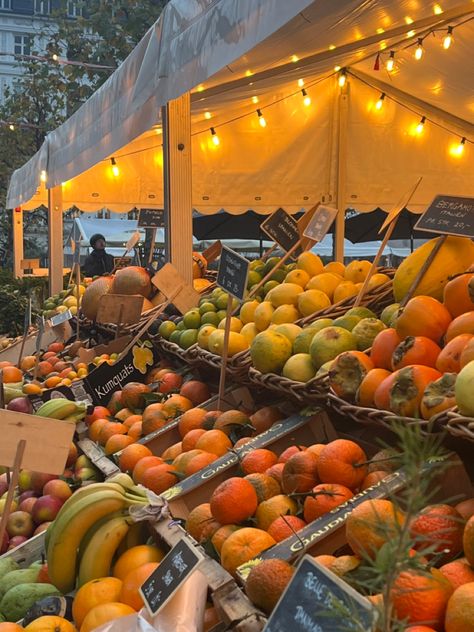 Copenhagen Fall Aesthetic, Copenhagen November, Copenhagen Denmark Fashion, Copenhagen Life, Copenhagen Autumn, Copenhagen Vibes, Copenhagen Market, Copenhagen Trip, Cities Aesthetic