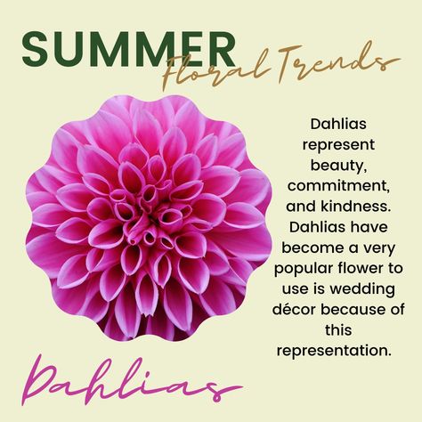 Five little known facts about the gorgeous Dahlia: 1. There are thousands of types of dahlias. 2. Dahlias were originally classified as a vegetable. 3. People use dahlias at weddings for their symbolism. 4. Dahlias originated in Central America. 5. There are no blue dahlias. Types Of Dahlias, Nyc Flower Market, Flower Healing, Weird Nature, Healing Flowers, Dahlias Wedding, Flower Magic, Blue Dahlia, Floral Trends