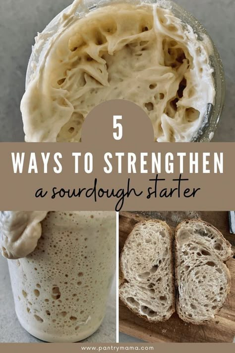 Best Sourdough Starter Recipe, Dough Starter Recipe, Recipe Using Sourdough Starter, Baking Techniques, Sourdough Bread Starter, Dough Starter, Sourdough Starter Discard Recipe, Homemade Sourdough Bread, Bread Starter