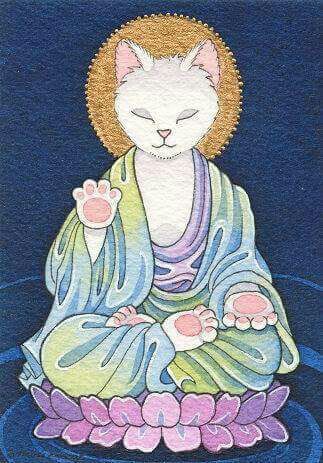 Cat Buddha, Arte Yoga, 심플한 그림, Little Buddha, Cats Illustration, Arte Animal, Art And Illustration, Cat Illustration, Cat Drawing