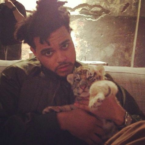 The Weeknd w/ a baby tiger The Weeknd, Other People