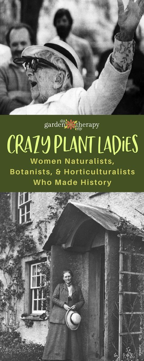 Study Of Plants, Horticulture Therapy, Historical Quotes, Emily Dickinson, Nature Journal, Zoology, The Study, Plant Lady, Permaculture