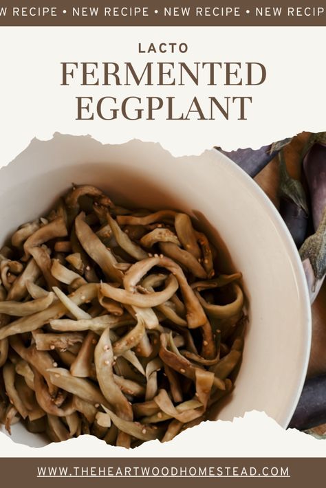 Fermented Eggplant Recipe : How to make pickled eggplant Fermented Eggplant, Brinjal Pickle Recipe, Pickled Eggplant Italian, Eggplant Pickle, Lacto Fermented Eggplant, Vegan Unagi Eggplant, Pickled Eggplant, Eggplant Recipe, Wide Mouth Mason Jars