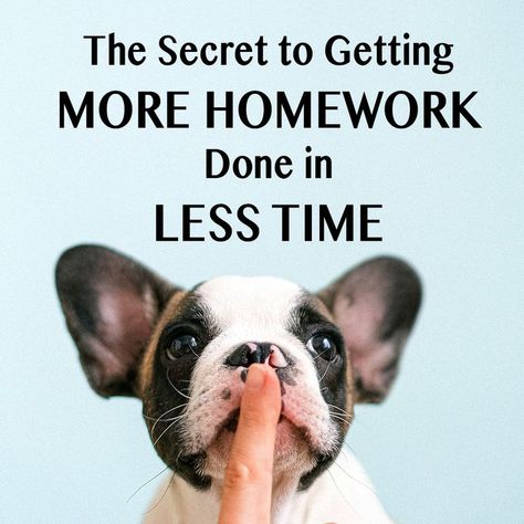 Are you really, really good at running out of time for everything? Check out my latest blog post for the secret to getting things DONE…and faster, too!! Check out the link to read! 🤓 The Secret to Getting More Homework Done in Less Time https://www.nadyacorscadden.com/blog/2021/10/4/how-to-get-more-homework-done Running Out Of Time, Out Of Time, Do Homework, Study Tips College, Getting Things Done, Study Tips, Homework, You Really, Boston Terrier