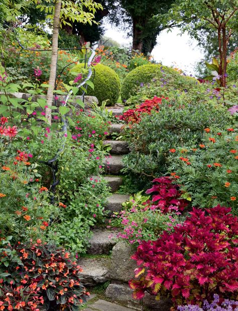 An unconventional, informal Irish garden full of wildlife | House & Garden Hydrangea Paniculata Limelight, Irish Garden, Garden Pond Design, Hillside Garden, County Wicklow, Prairie Garden, Sloped Garden, Garden Decor Projects, Bee Garden