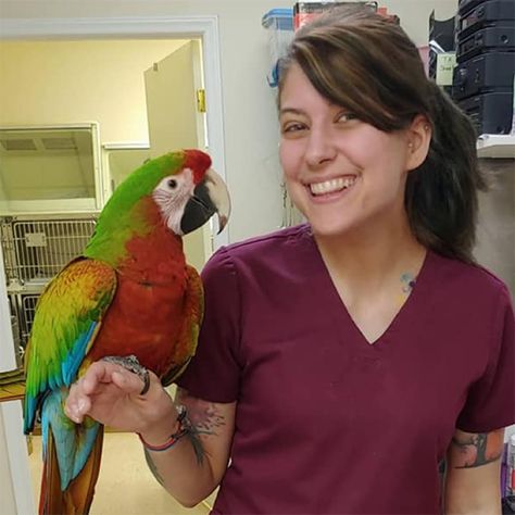 Exotic Veterinarian Aesthetic, Zoo Tampa, Worker Aesthetic, Exotic Aesthetic, Vet School Motivation, Member Search, Vet School, Vet Med, Care Worker