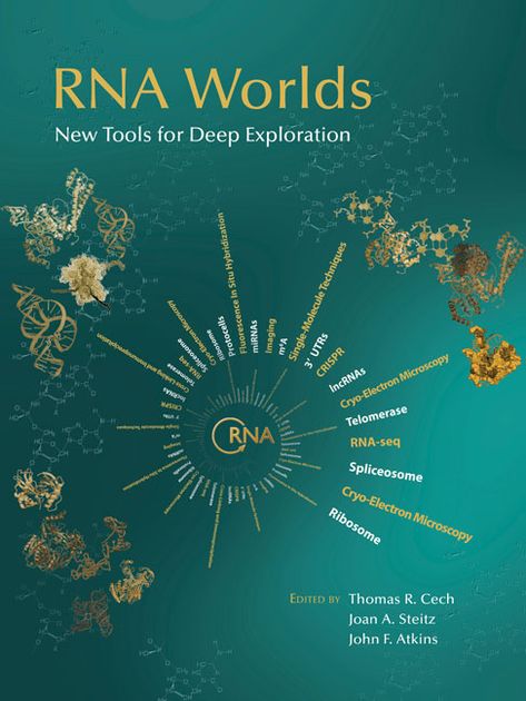 Gene Regulation, Dna Replication, University Of Colorado Boulder, Gene Expression, New Tools, Protein Synthesis, University Of Colorado, Molecular Biology, University Of Utah