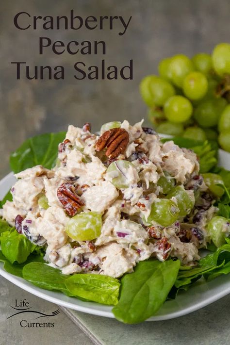 Best Tuna Salad, Albacore Tuna, Tuna Salad Recipe, Healthy Food Facts, Photo Food, Tuna Recipes, Healthy Diet Recipes, Toasted Pecans, Tuna Salad