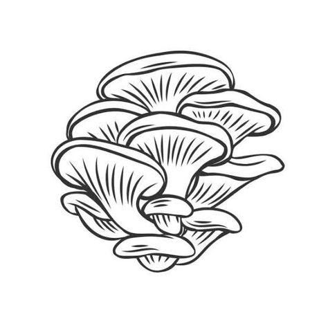 Underwater Drawing, Mushroom Graphic, Fungi Art, Mushroom Paint, Mushroom Tattoos, Mushroom Drawing, Oyster Mushroom, Edible Mushrooms, Forest Plants