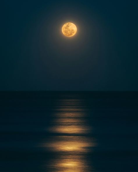 Tomorrow brings us the Pisces Full Moon Eclipse on September 17, 2024, at 7:34 PM PST. It will be a powerful time of closure and new beginnings. This lunar eclipse will be visible in parts of North America, the Pacific, and Australia. If you've been working through something that started earlier this year, this Eclipse might finally help bring resolution. While the energy can feel intense and some things may leave your life, know that it’s part of your journey. Pisces is all about emotions an... Comfort In Darkness, Moon Hd Wallpapers, Moon Hd, Full Moon Eclipse, Wallpaper Moon, Exposure Therapy, Dark Living Rooms, Fear Of The Dark, Moon Wallpaper