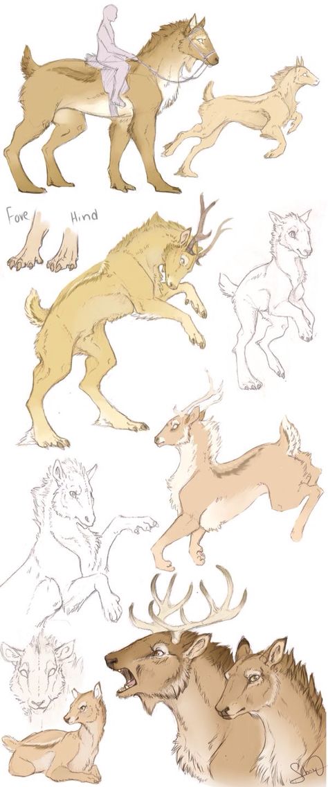 Can someone give me the artist's name? I tried doing a Google search on the image, but came up with nothing. All I've got is the signature in the bottom right that reads "Shay." Deer Hybrid, Mythical Animal, Fantasy Beasts, Creature Drawings, Types Of Animals, Fantasy Creatures Art, Mythical Creatures Art, Mythological Creatures, Creature Concept Art