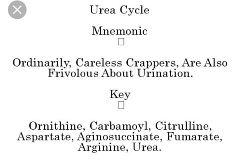 Urea Cycle. Urea Cycle, Medical School Essentials, Med School, Biochemistry, School Essentials, Medical School, Pretty Words, School Stuff, Chemistry