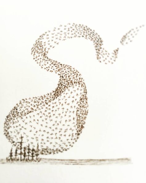 Starling Murmuration, Starling Murmuration Tattoo, Murmuration Illustration, Starling Tattoo, Bird Silhouette Art, Murmuration Art, Flock Of Birds, I Am Blessed, Bird Silhouette