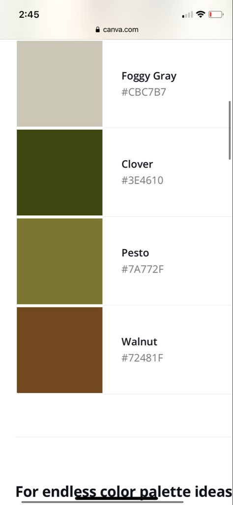 Army Green Colour Combination, Army Green Color Combinations, Green Color Combinations, Army Colors, Army Green, Color Combinations, Green Colors, Color Schemes, Green