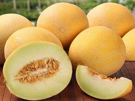 Top Honeydew Melon Benefits & Nutrition Facts #Fruits Honeydew Melon Benefits, Melon Benefits, Low Calorie Fruits, Honeydew Melon, Yellow Fruit, Healthy Eyes, Powdery Mildew, Fruit Breakfast, Vitamins For Skin