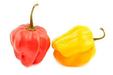 Best Scotch Bonnet Pepper Substitute (9 Direct Swaps) Thai Red Chili, Fresno Peppers, Pepper Jam, Tabasco Pepper, Peri Peri Sauce, Scotch Bonnet Pepper, Portuguese Cuisine, Jollof Rice, Caribbean Cuisine