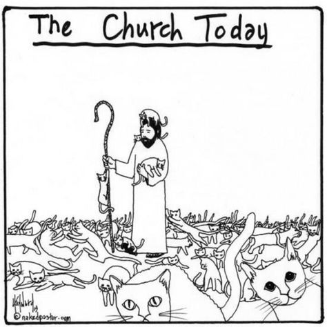 Jesus the Good Shepherd has nothing on Jesus the Good Cat Wrangler. Cats Humor, Cats Funny Cartoon, Christian Leave, Cat Safe Plants, Diy Cat Bed, Serval Cats, Herding Cats, Cat Drawing Tutorial, Cat Vs Dog