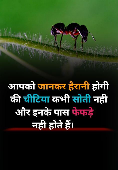 Fact In Hindi Science, Intresting Fact In Hindi, Amazing Science Facts In Hindi, Amazing Facts In English, New Facts In Hindi, Gk Wallpaper, Fact Hindi, Inland Taipan, Fact In Hindi