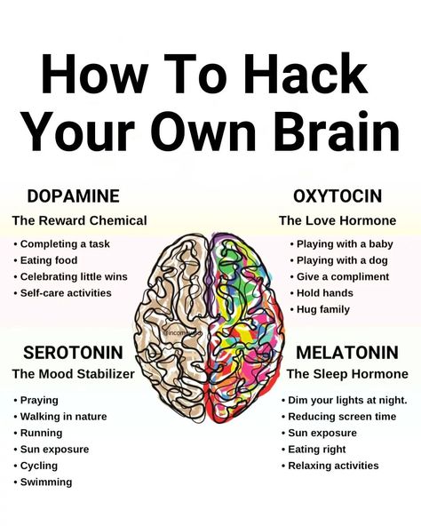 Succeeded Mind (@SucceededMind) on X Brain Tips, Brain Anatomy And Function, Glenn Doman, Psychology Notes, Brain Memory, Health Words, Brain Facts, Brain Anatomy, Mental Health Facts