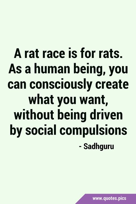 Rat Race Quotes, Race Quotes, Films Posters, Consciousness Quotes, Classic Films Posters, Social Pressure, A Rat, Communication Networks, Quotes Pics