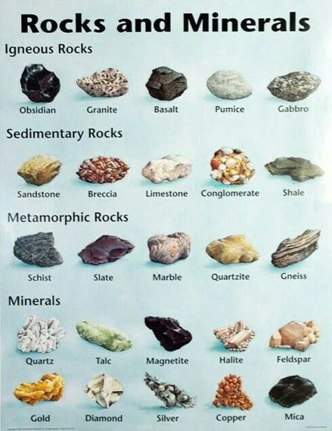 Mineral Chart, Tanaman Air, Rock Identification, Rock Hunting, Rock Types, Geology Rocks, Metamorphic Rocks, Sedimentary Rocks, Rock Minerals