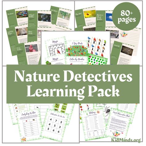 Nature Detectives Learning Pack - KidMinds Nature Detectives Activities, Homeschool Nature, Nature Games, Homeschool Nature Study, Print Outs, Outdoor Classroom, Nature Play, Garden Club, Family Night