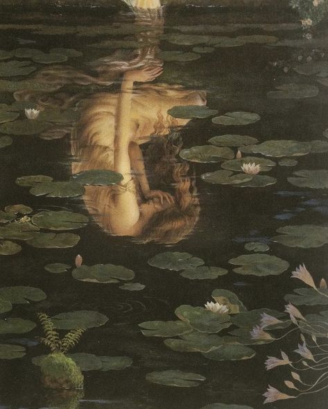 Y Craft, Lily Pads, A Woman, Lily, Water