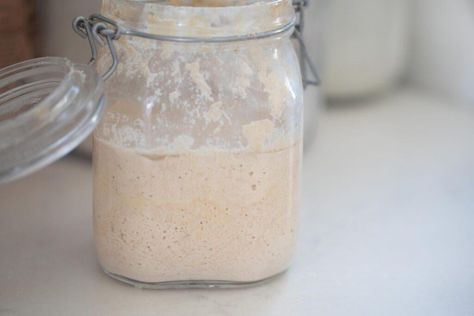 This post will walk you through the steps to creating a whole wheat sourdough starter from scratch. A simple combination of flour, water, and time will set you up to begin baking all kinds of delicious, nutritious loaves, bagels, muffins, and more - all from your very own sourdough starter. Whole Wheat Sourdough Starter, Wheat Sourdough Starter, Best Sourdough Starter Recipe, Sourdough Starter From Scratch, Whole Wheat Sourdough, Homemade Dinner Recipes, Whole Grain Flour, Sourdough Starter Recipe, Wheat Berries