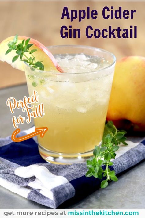 Spicy Gin Cocktail, Gin Mixed Drinks, Easy Winter Cocktails, Fall Cocktails Recipes, Cider Cocktails, Fall Cocktail, Gin Recipes, Thanksgiving Cocktails, Gin Drinks