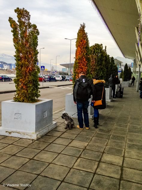 Sofia International Airport (SOF)  #Sofia #streetphotography Sofia Airport, International Airport, Google Maps, Street Photography, Sofia, Quick Saves