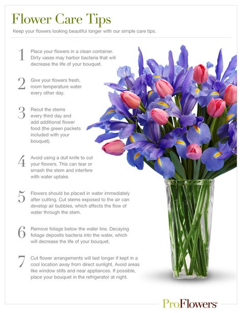 Simple care tips to help your cut flowers last longer. Download and print! How To Keep Your Flowers Last Longer, Best You Pick Flowers, How To Take Care Of Flowers In A Vase, Keeping Flowers Fresh Longer, Store Bought Flowers Tips, How To Keep Flowers Fresh Longer Vase, How To Make Flowers Last Longer In Vase, How To Take Care Of Flowers, How To Keep Flowers Alive Longer