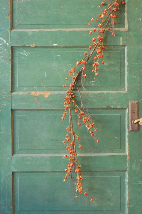 Primitive Country Farmhouse Autumn Fall Halloween Bittersweet & Vine 5' Garland | eBay Primitive Fall Decorating, Bittersweet Vine, Boho Fall Decor, Vine Garland, Colorful Planters, Primitive Fall, Autumn Magic, Fall Garland, Autumn Decorating