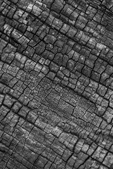 Charcoal texture background, abstract black design | free image by rawpixel.com / Teddy Charcoal Texture, Texture Nature, Nature Texture, Iphone Wallpaper Texture, Wood Charcoal, Charcoal Wallpaper, Wallpaper Texture, Photo Texture, Nature Background