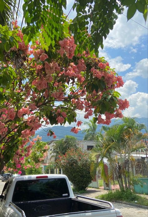 Honduras Houses, Honduran Aesthetic, Roatan Honduras Pictures, Señora Aesthetic, Honduras Wallpaper, Honduras Aesthetic, Honduras Culture, Honduran Culture, Honduras Beach