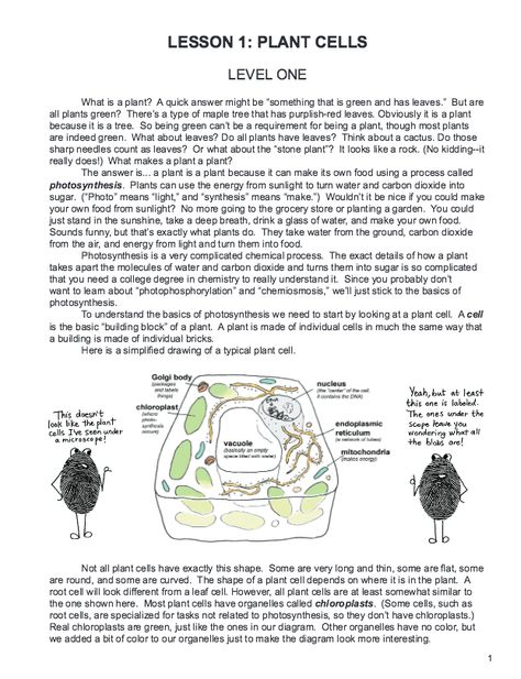 Botany in 8 Lessons – REVIEW - The Curriculum Choice Botany Lessons, Farm Lessons, Homeschool Science Curriculum, Science Topics, Plant Cell, Homeschool High School, High School Science, Plant Information, Lesson 1