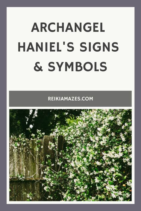 In our previous post, we delved into the fascinating world of Archangel Haniel and explored ways to overcome sensitivity with her help. Today, we are going to explore the symbolism and signs associated with this Haniel Archangel, Archangel Haniel, Archangel Zadkiel, What Is Reiki, Animal Reiki, Hidden Potential, Jasmine Oil, Grace Of God, Reiki Symbols