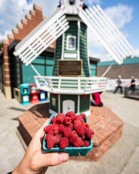 Lynden Washington, Western Washington University, Deli Style, Berry Farm, Evergreen State, Red Raspberry, Best Kept Secret, Foodie Travel, Simple Things