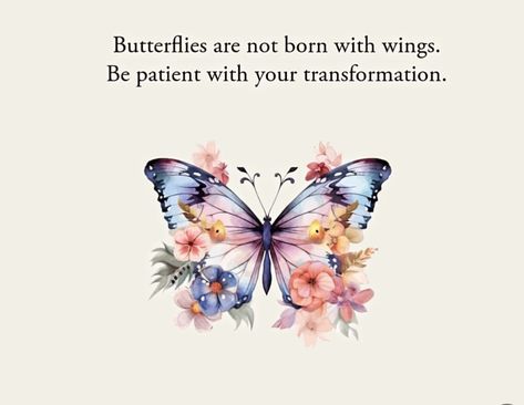 Butterfly Sayings, Butterfly Growth, Compliment Quotes, Butterfly Information, Butterfly Poems, Butterfly Pics, Butterfly Meaning, Motivational Quotes For Girls, Cute Picture Quotes