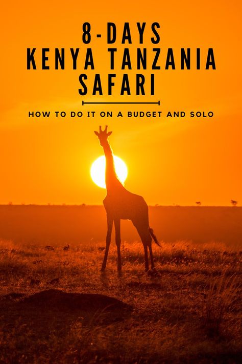 If you're considering a budget-friendly solo Kenya Tanzania Safari, this article provides a comprehensive guide to help you plan an ideal trip. The Great Migration, Rift Valley, Tanzania Safari, Serengeti National Park, Masai Mara, Perfect Itinerary, Best Budget, Africa Travel, Zebras