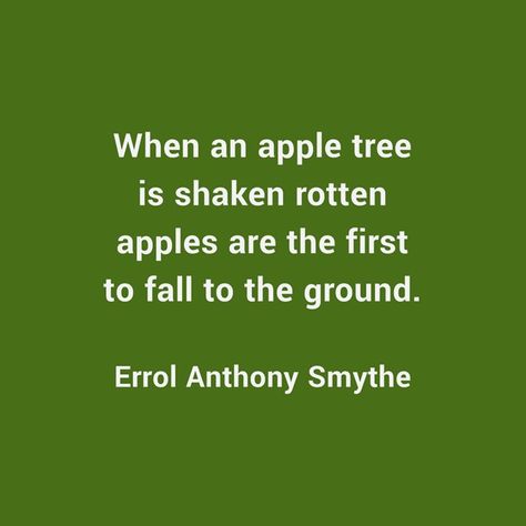 When an apple tree is shaken rotten apples are the first to fall to the ground. -Errol Anthony Smythe Rotten Apple Quote, Apple Quotes, Tree Quotes, Bad Apple, Apple Tree, Quotable Quotes, Apples, The First, Life Quotes