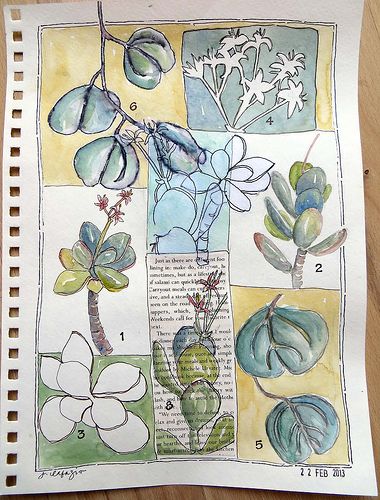 from my sketchbook - Jane LaFazio Jane Lafazio, Leaving Cert, Sketchbook Layout, Natural Form Art, Flower Sketch, Collage Journal, Gcse Art Sketchbook, Observational Drawing, Nature Sketch