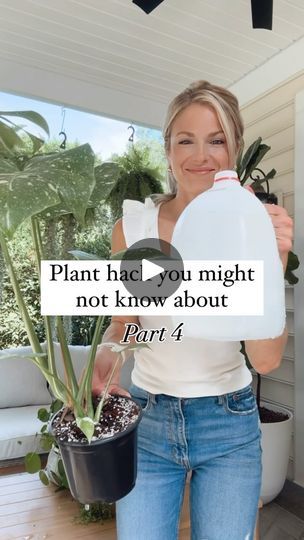 Overwatering Plants, Online Plant Shop, Houseplant Care, Plant Help, Plant Hacks, Plant Shop, House Plant Care, Water Me, I Promise You